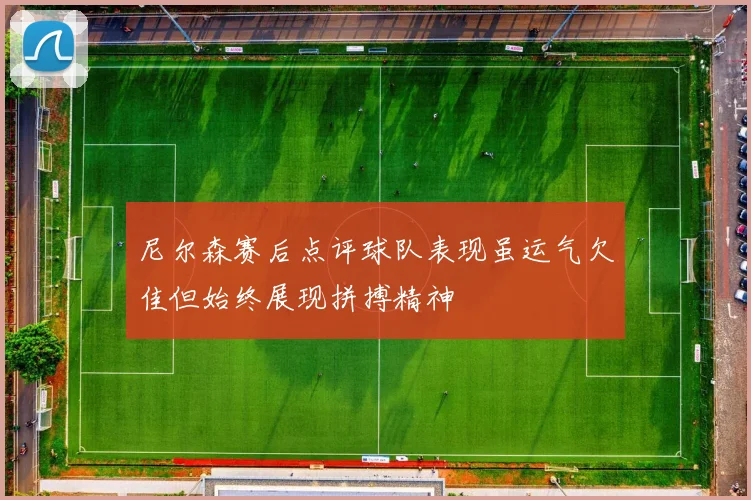 尼尔森赛后点评球队表现虽运气欠佳但始终展现拼搏精神